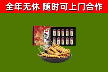 日喀则回收冬虫夏草价格
